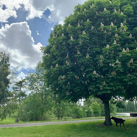 Domaine Du Pont Salmois Bed & Breakfast Neuil ภายนอก รูปภาพ