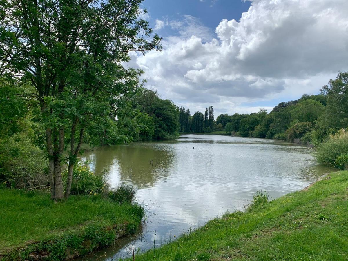 Domaine Du Pont Salmois Bed & Breakfast Neuil ภายนอก รูปภาพ